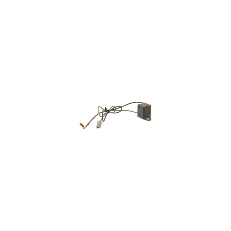 Sensore di livello dell'olio Briggs e Stratton - 798470