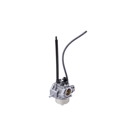 Carburatore Briggs e Stratton - 799802