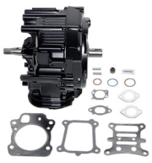 Briggs and Stratton Shortblock - 799856