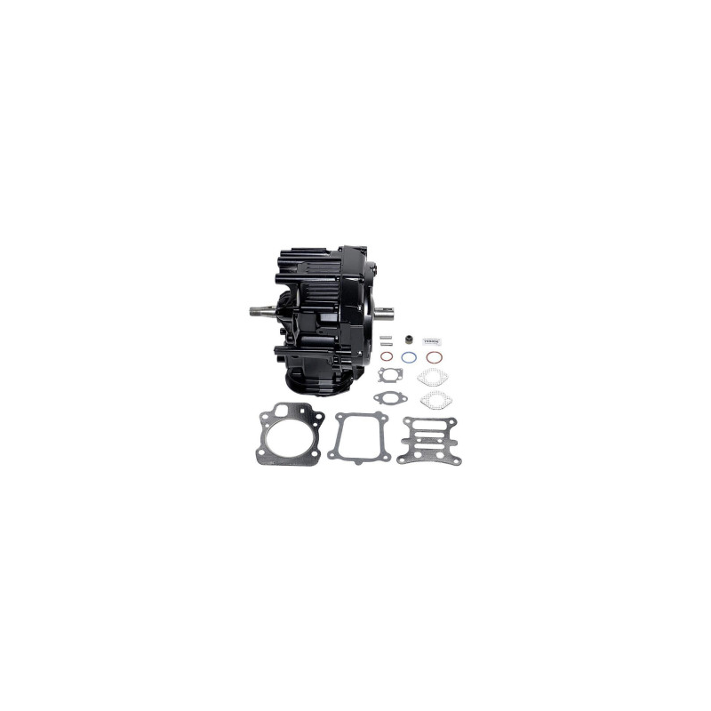 Shortblock Briggs and Stratton - 799856
