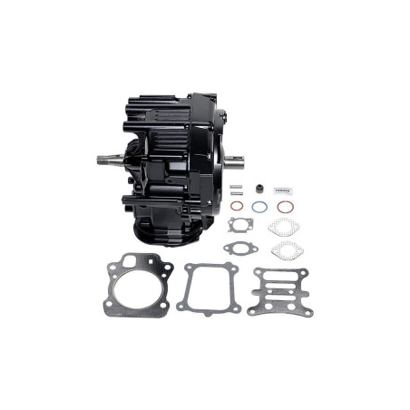 Briggs and Stratton Shortblock - 799856