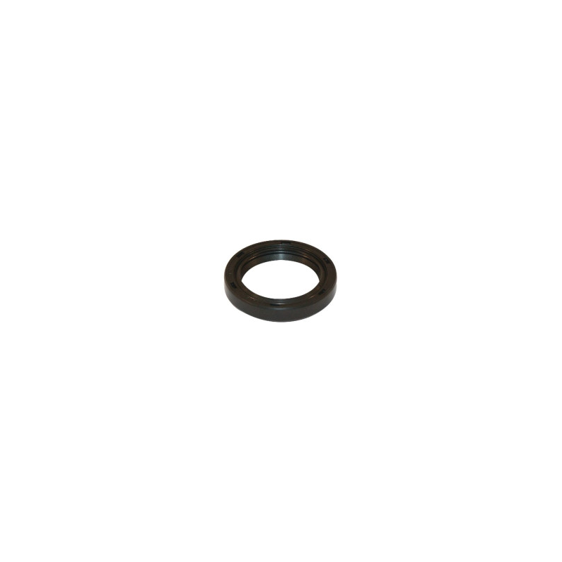 Briggs and Stratton Lip Seal - 805049S