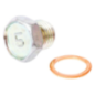 Tampão Briggs e Stratton - 807723