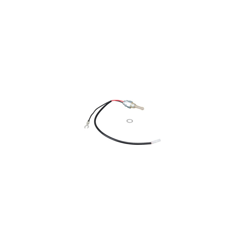 Briggs and Stratton Relay - 808624