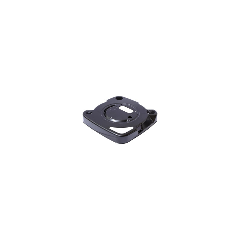 Base Briggs e Stratton - 808655