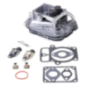 Cabeça de Cilindro Briggs e Stratton - 84001918