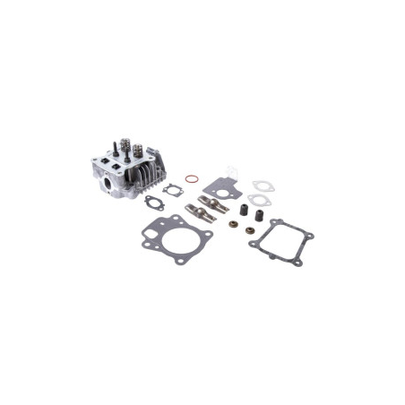 Testata Briggs e Stratton - 84003960