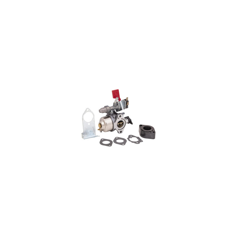 Carburatore Briggs e Stratton - 84004885