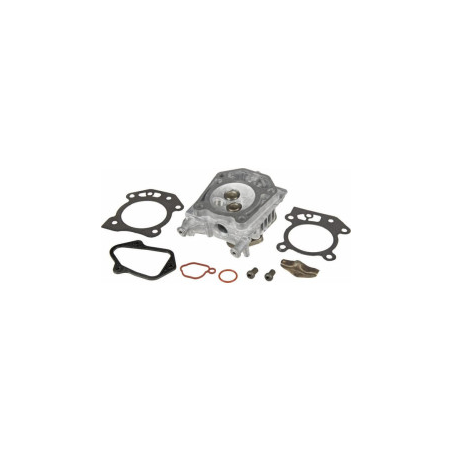 Cabeça de cilindro Briggs e Stratton - 84006584