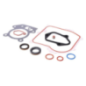 Briggs and Stratton Gasket Set - 84006586