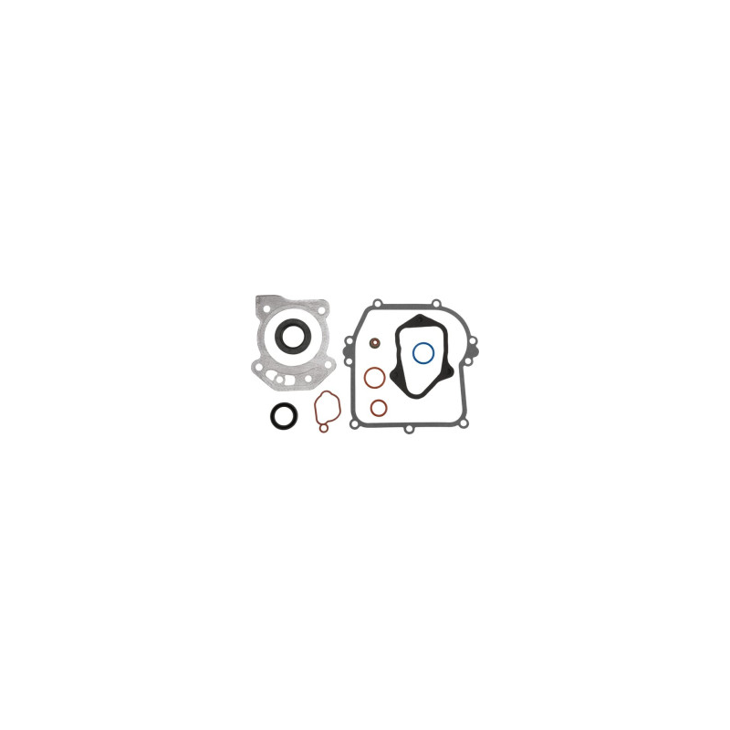 Jeu de joints Briggs et Stratton - 84006591