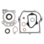 Jeu de joints Briggs et Stratton - 84006591