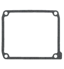 Kit Briggs e Stratton - 843713