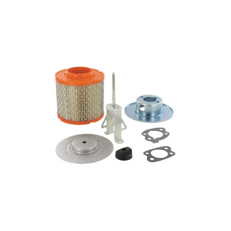 Kit Briggs e Stratton - 845198
