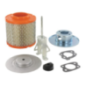 Kit Briggs e Stratton - 845198