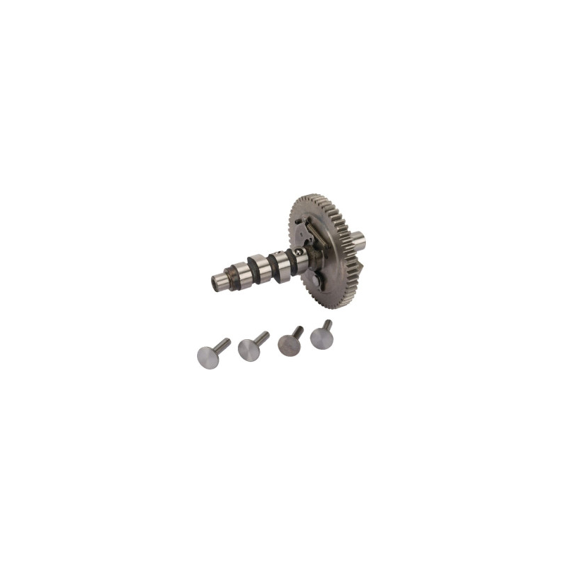 Albero a camme Briggs e Stratton - 845649