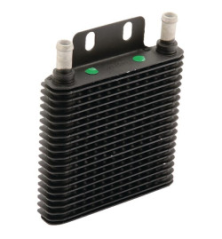 Elemento Briggs e Stratton - 846489