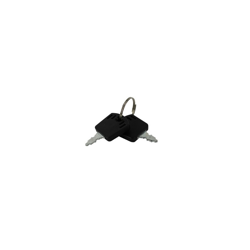 Set of 2 tractor mower keys GGP - 118210016/1