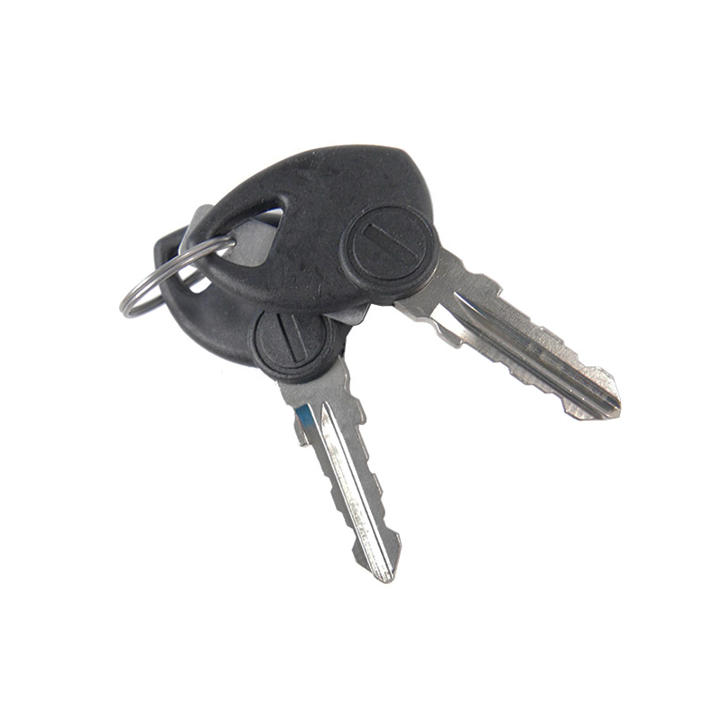 Chiave accensione trattorino GGP - 118210022/0