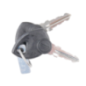 Chiave accensione trattorino GGP - 118210022/0