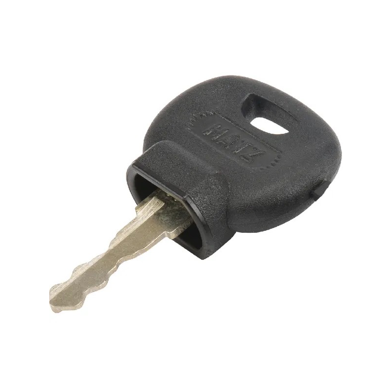 Llave de contacto para tractor autopropulsado park Diesel GGP - 118210027/0