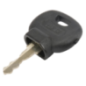Llave de contacto para tractor autopropulsado park Diesel GGP - 118210027/0