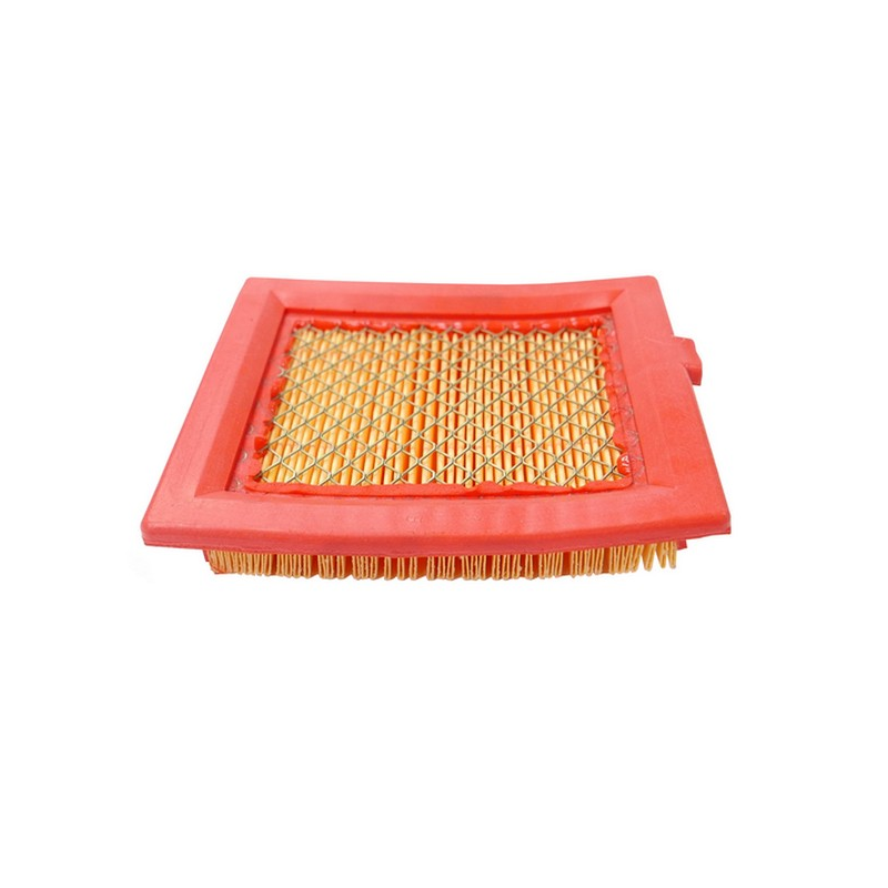 Filtro aria in carta motore GGP - 118550147/0