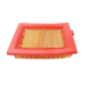 Filtro aria in carta motore GGP - 118550147/0