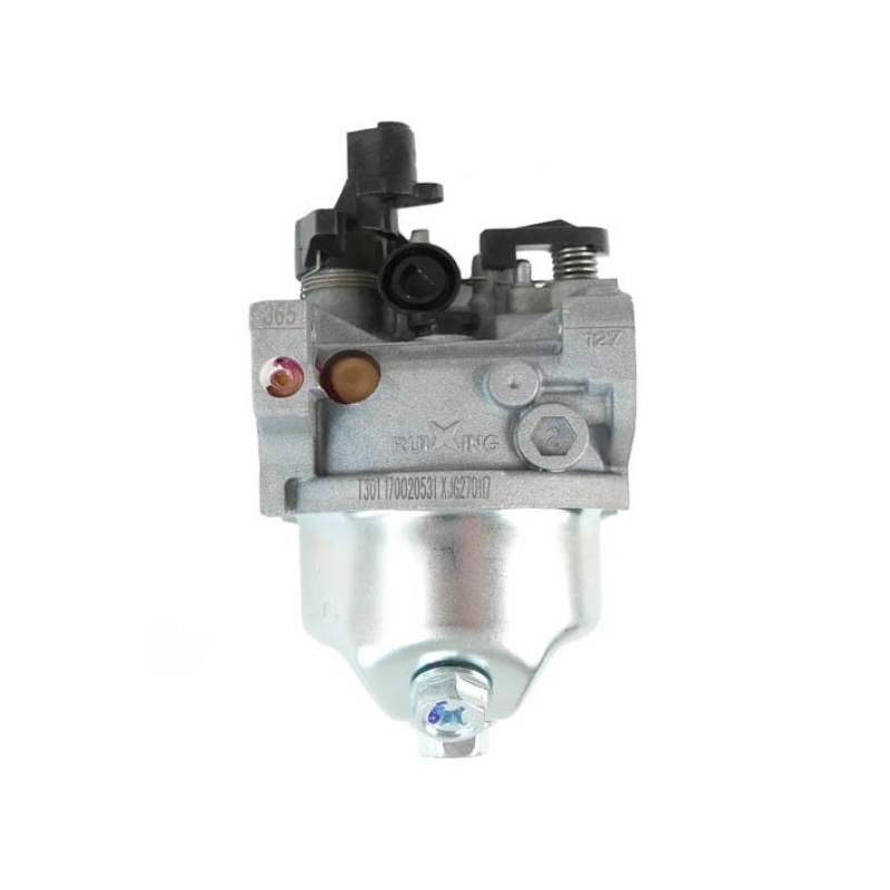 Carburador motor GGP - 118550390/0