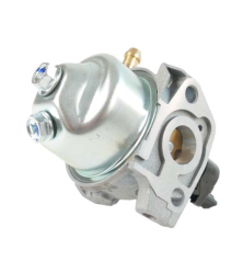 Carburador motor GGP - 118550390/0