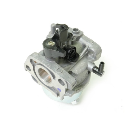 Carburador del motor ( ) GGP - 118550697/0