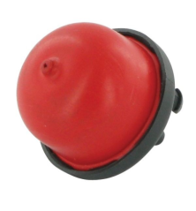  GGP -118550698/0