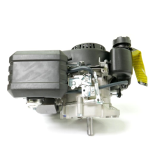 Motore per trattorino rasaerba WBE170 GGP - 118551442/0 4