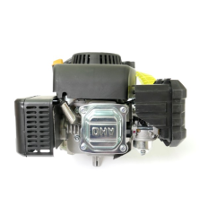 Motore per trattorino rasaerba WBE170 GGP - 118551442/0 5