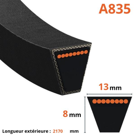 Cinto trapezoidal liso - Mitsuboshi - A835