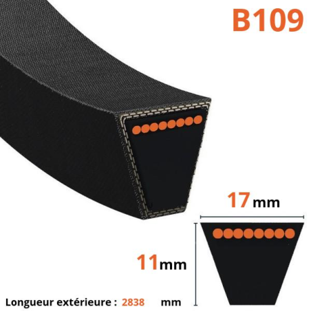 Cinto trapezoidal liso - Mitsuboshi - B109