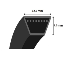 Cinto trapezoidal liso - Mitsuboshi - LA24