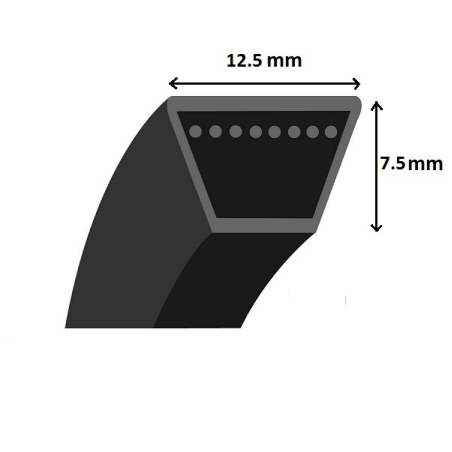 Cinto trapezoidal liso - Mitsuboshi - LA24