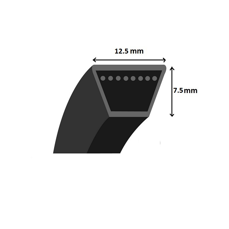 Cinto trapezoidal liso - Mitsuboshi - LA35