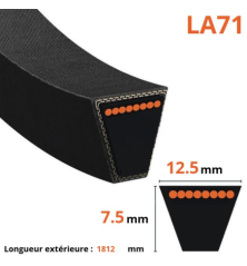 Cinto trapezoidal liso - Mitsuboshi - LA71