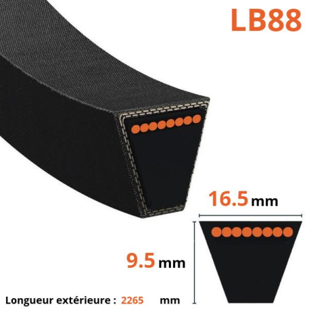 Cintura trapezoidale liscia - Mitsuboshi - LB88