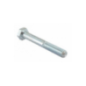 Unvergleichliche Getriebeschraube – GGP – 112691800/0