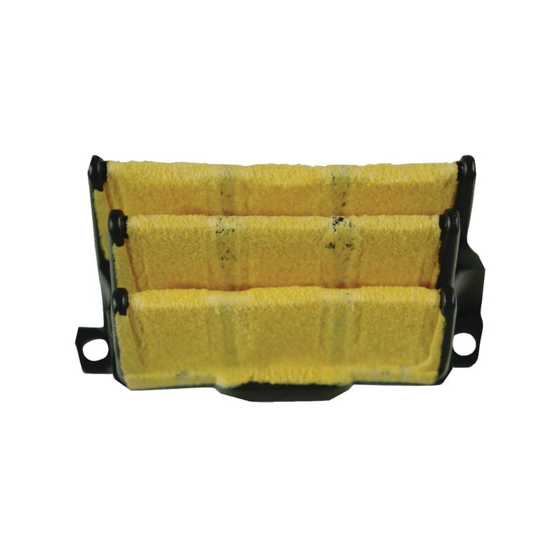 Air filter ALPINA 3781590 - GGP - 3781590