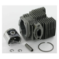 Zuiger ALPINA 8541110 - GGP - 8541110