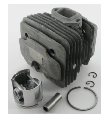 Cylindre complet ALPINA 8540880 - GGP - 8540880 2