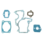ALPINA carburetor kit 8723960 - GGP - 8723960