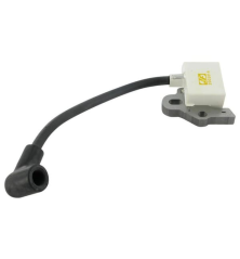 Bobine d'allumage ALPINA 6980621 - GGP - 6980621