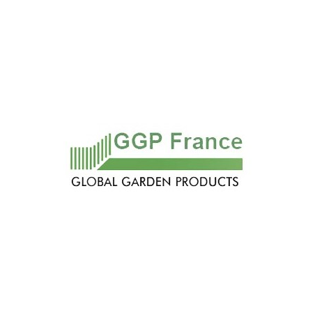 Courroie - Ggp - 1111-9064-01