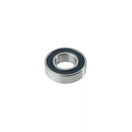 Delmorino bearing 41000040