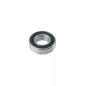 Delmorino bearing 41000040